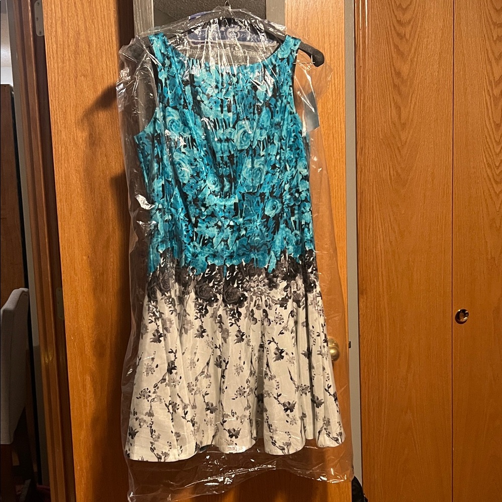 Dress Barn Dress Size 16